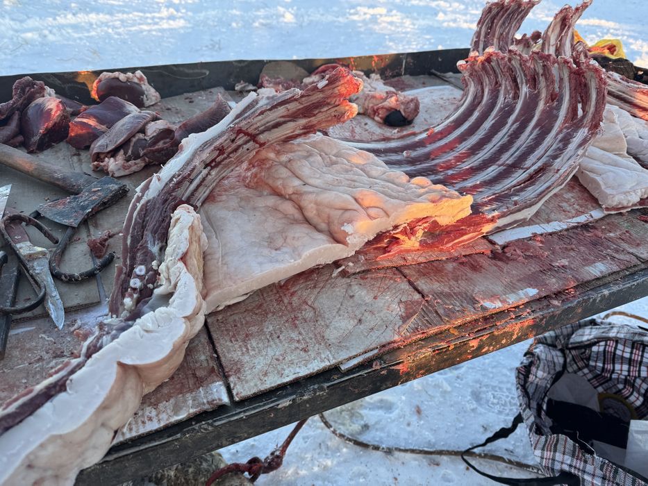 Конина молодая тай