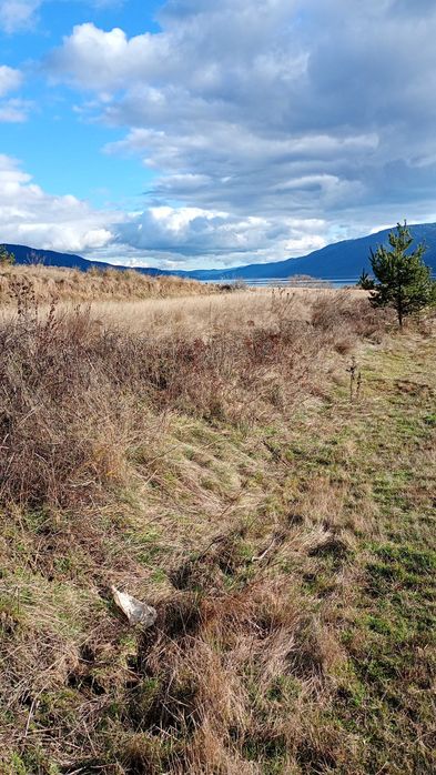 Земеделска земя гр.Сърница Родопите