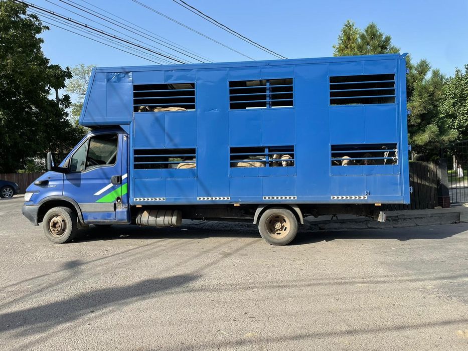 Caroserie/bena cub transport animale 2 nivele .doar cubul schimb jepp