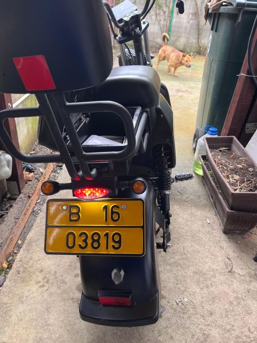 Scuter / moped electric
