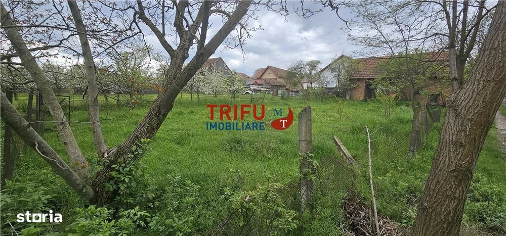 Casă veche + teren 3100 mp | Galda de Jos | Acces râu