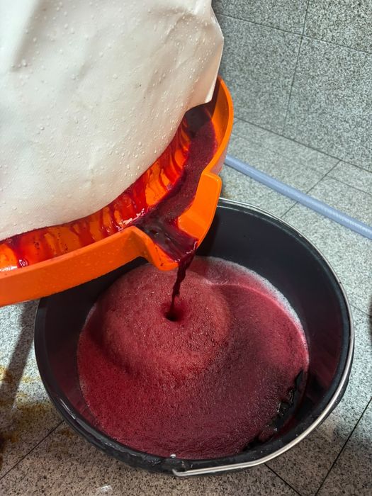 Suc de mere, aronia,sfecla rosie, morcov și struguri.
