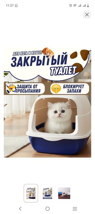 Отдам в добрые руки