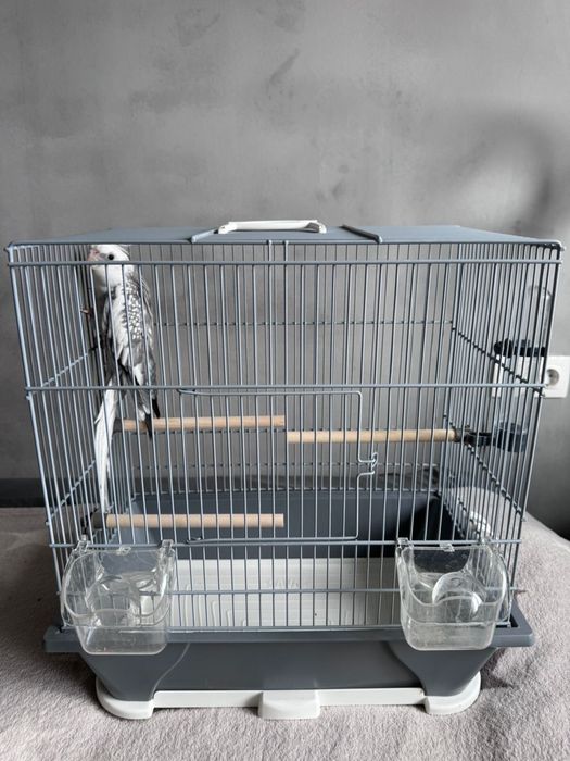 Клетка для попугаев