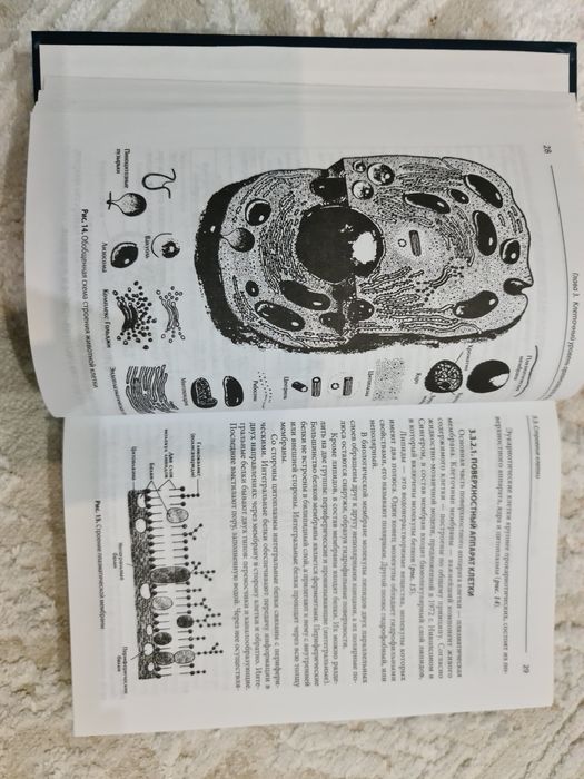 Учебник Биологии