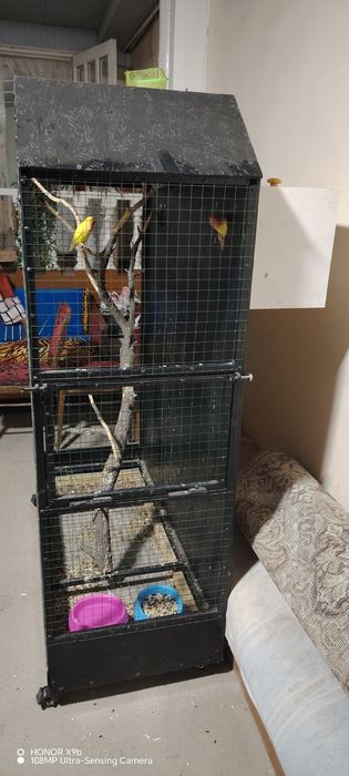 Qushlar uyasi bilan sotiladi