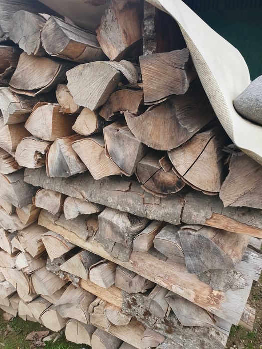 Lemne foc uscate 10 m steri Bratca