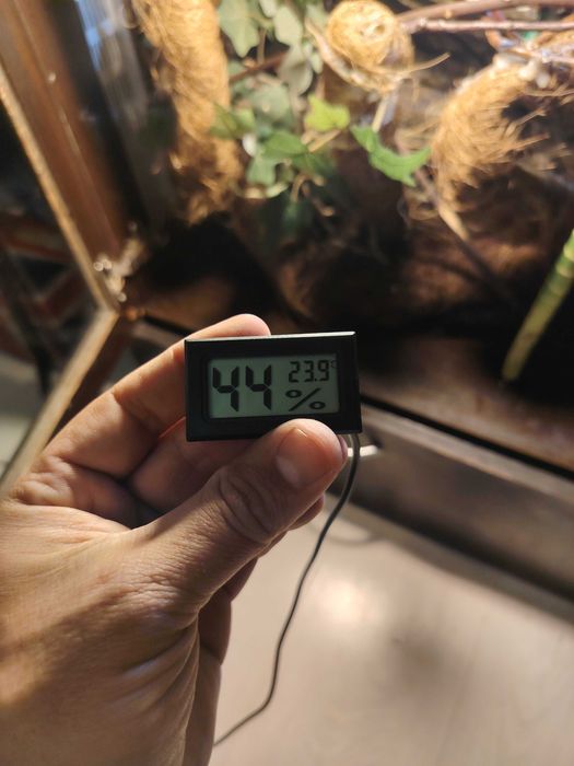 Терарим за хамелеон или друго