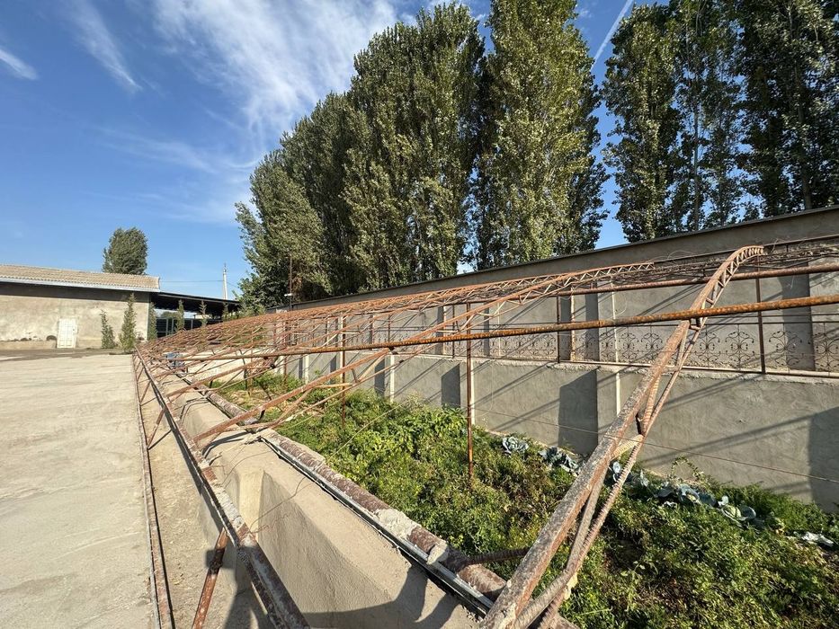 Ферма 55 соток 15 минутах от Ташкента