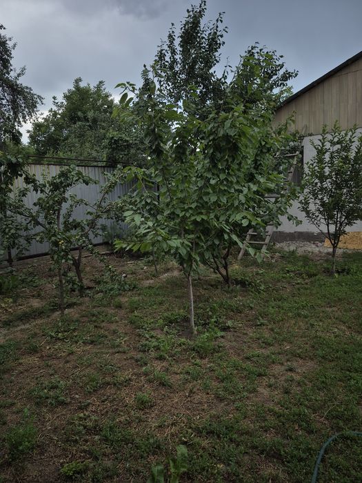 Продам дом дачу в экологичнски чистый район