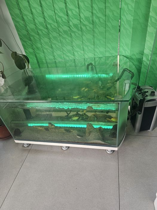 Acvariu 350 litri