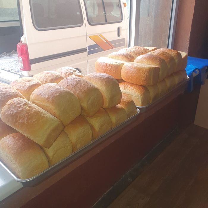 Нон пиширадигон печ