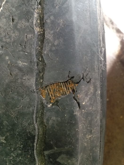 Продам балоны на грузовик