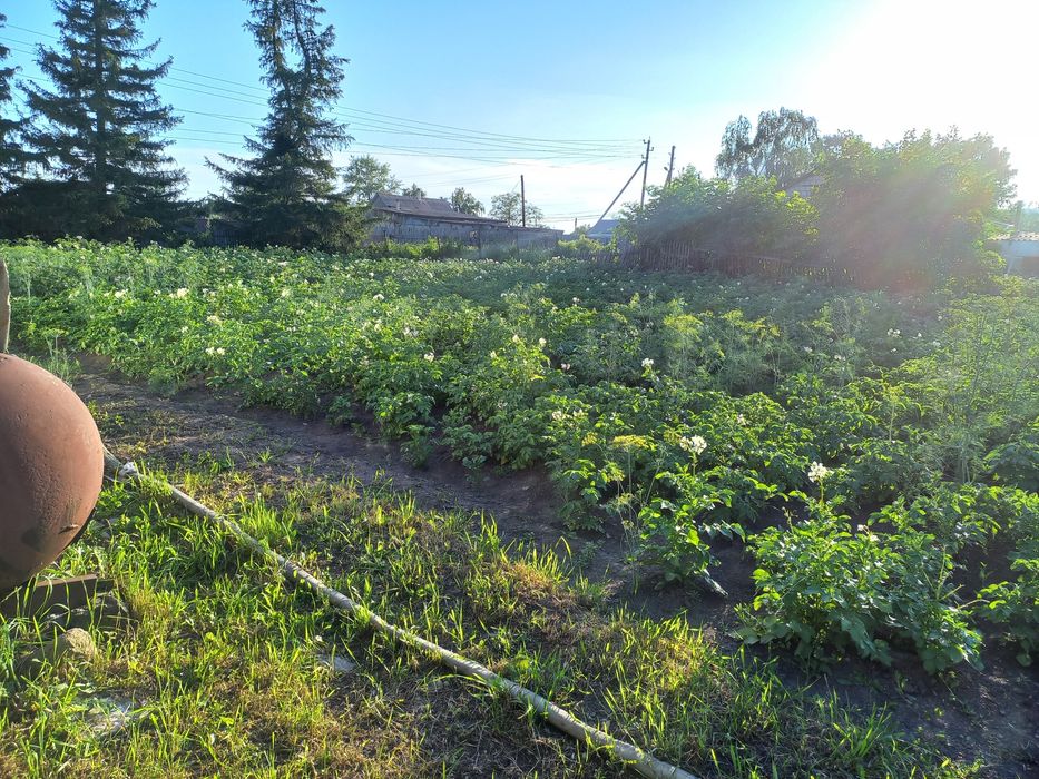 Продам дом в селе Катарколь.