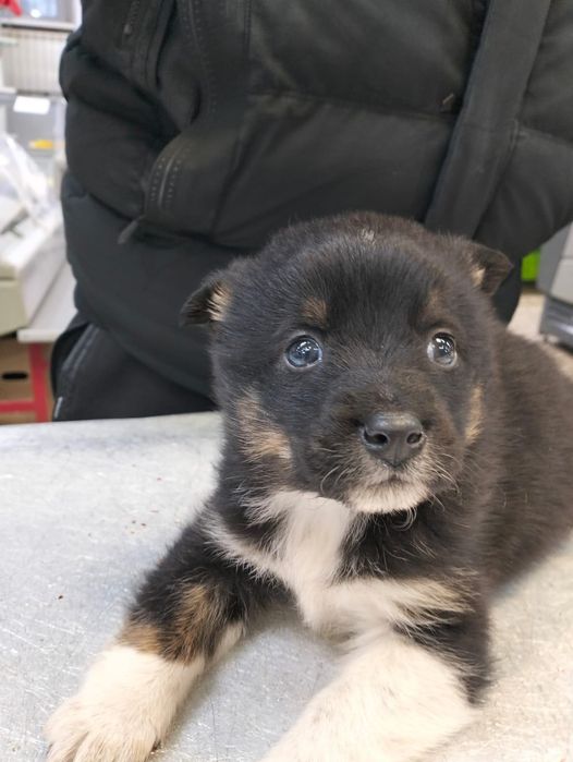 Кому? Кому? Только одному:-)