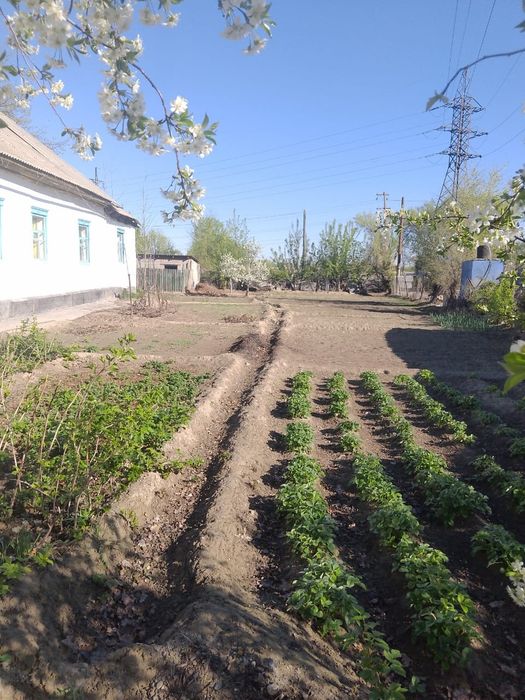 Частный дом в г. Уштобе