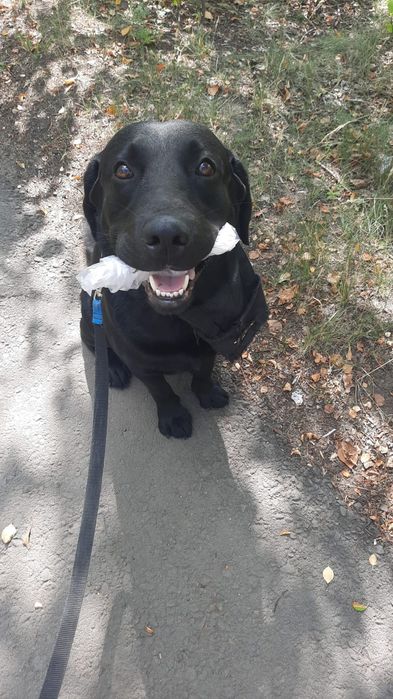 Ищем подружу для нашего мальчика