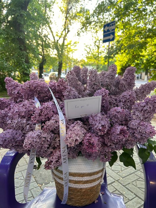 Продам свежий сирень