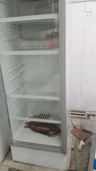 Холодильниктер сатылады