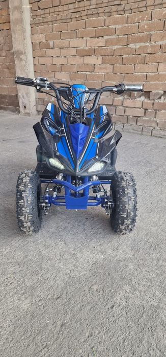 ATV Ultra Raptor Electric 800w, nou adus din Germania
