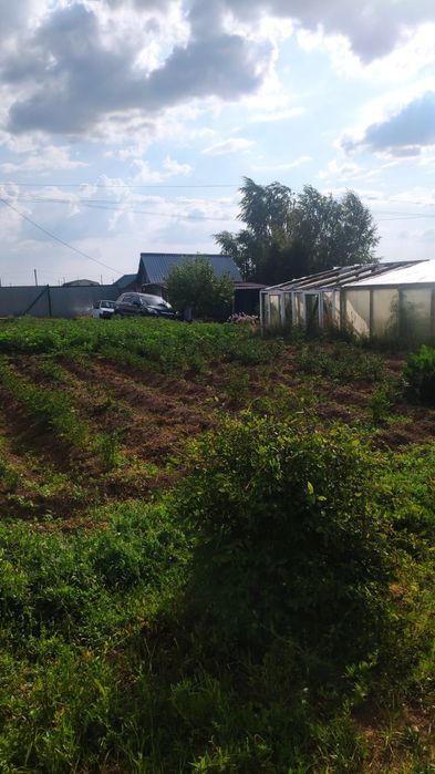 Продам дачу в Коянды