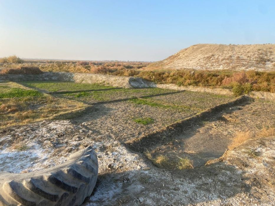 Yer sotiladi madaniyat shexon