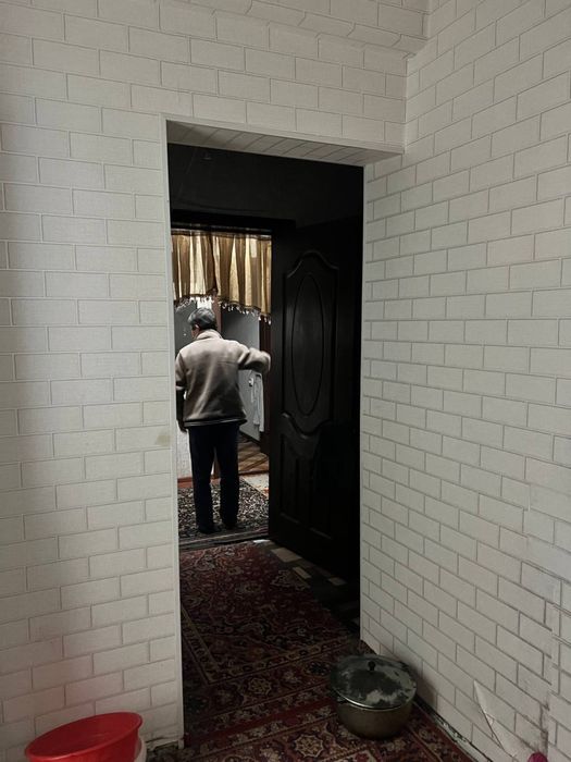 qoraqamish alo kurug da