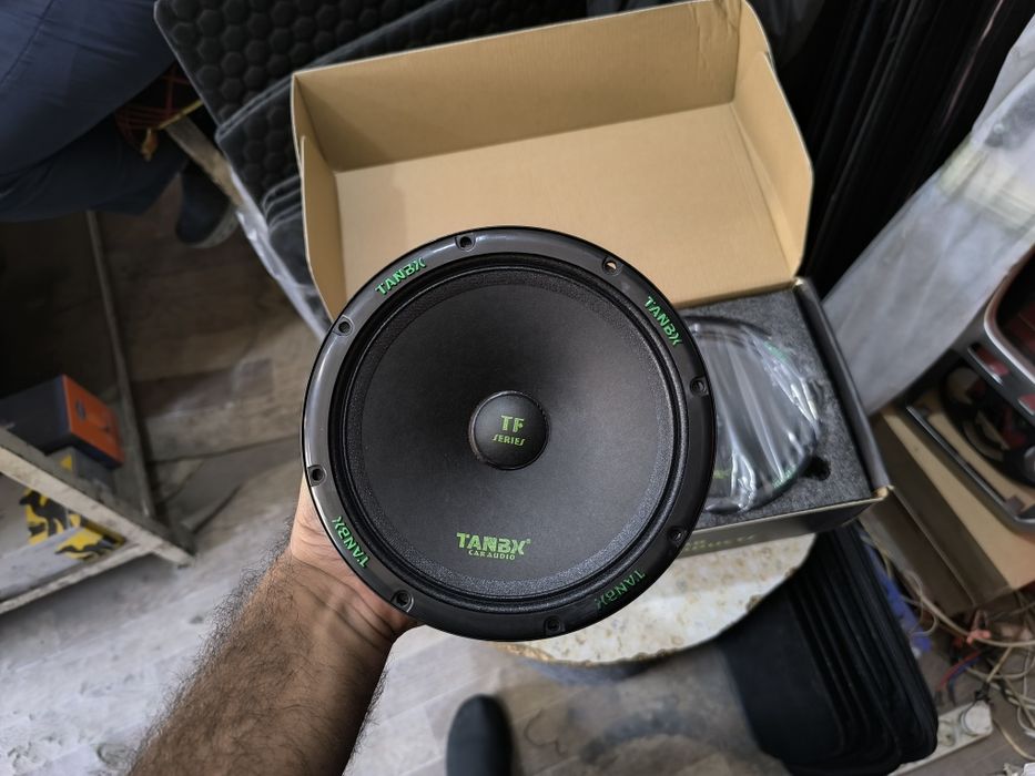 Эстрадные динамики 16см Tanbx