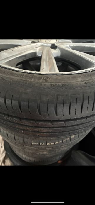 Титанка камрики р16