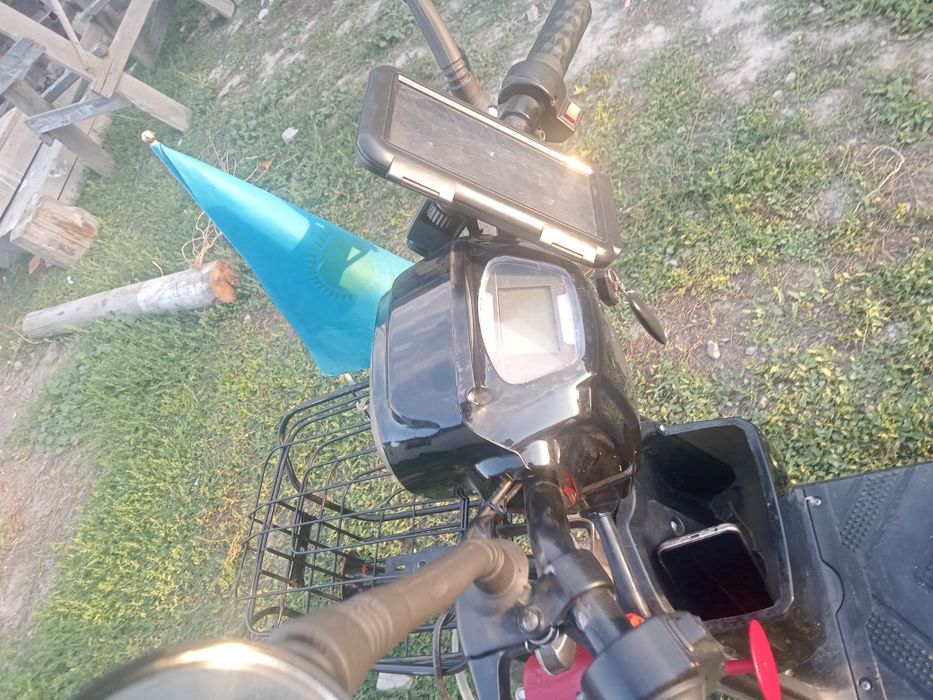 Лепард лепард  40