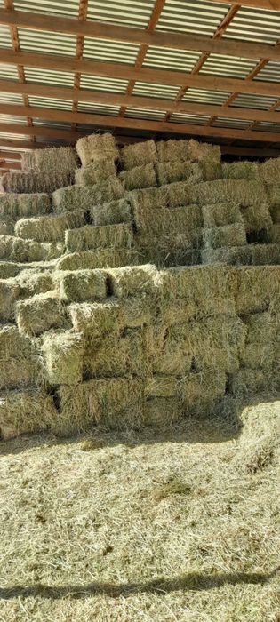 Беда пресс 40 000 сум