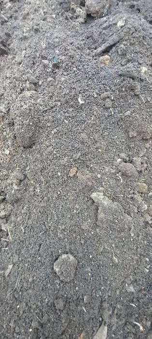 Черназем продам высший сорт