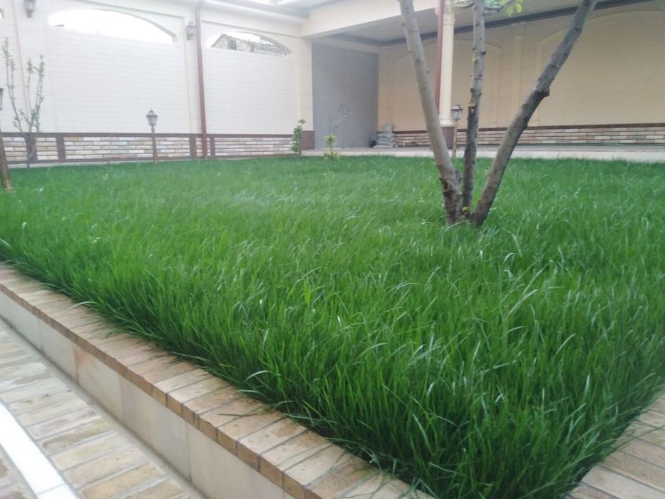 Газон афто палиф киламиз