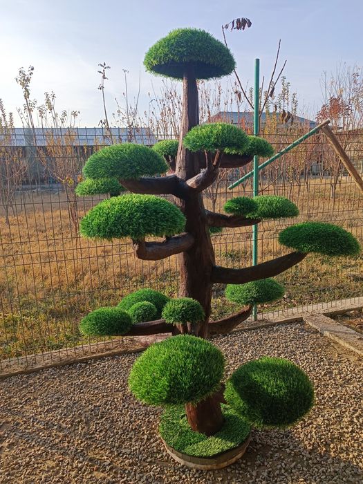 Декоративные растения, искусственные деревья!
Самый большой вы