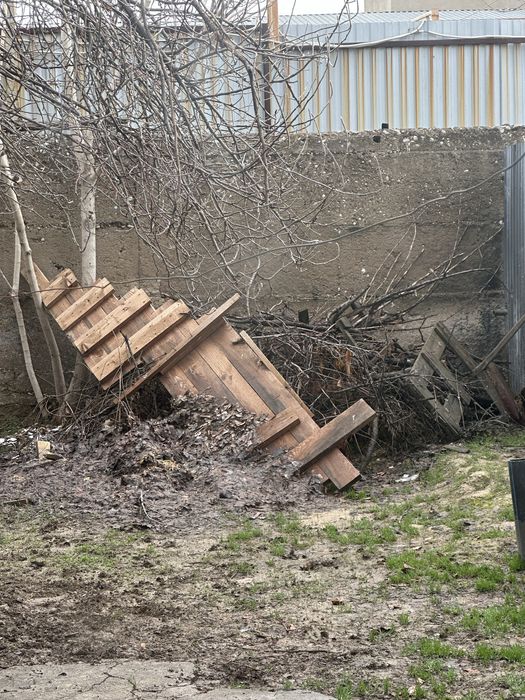 Ветки, куски деревянные бесплатно