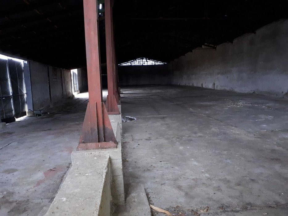 Дава се под наем Склад в с. Воднянци, Област Видин - 25000 кв.м за 99.45 € - Снимка #12