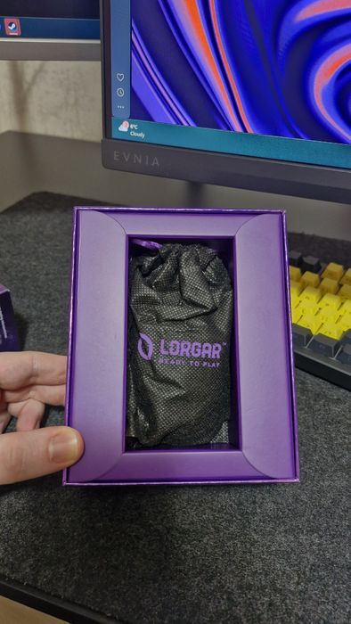 Мишка Lorgar MSA10W