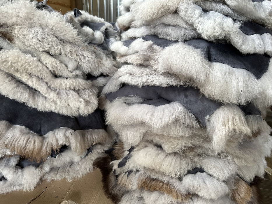 Blană / blănuri piei / piele