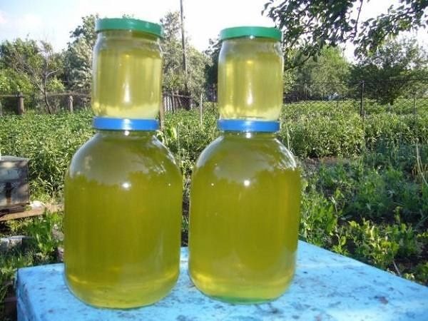 Какого цвета мед акации фото Какого цвета мед акации фото