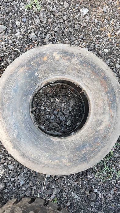 продам сельхоз шины