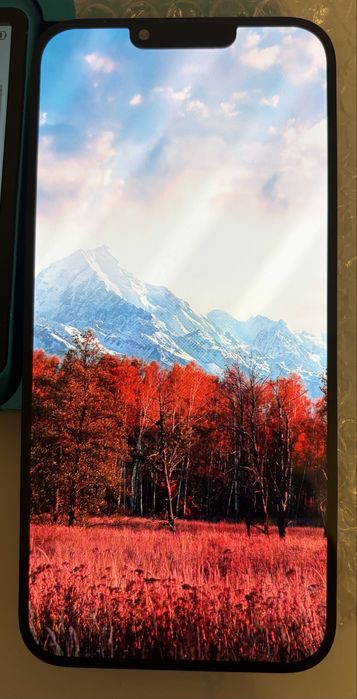 Display 13 Pro Max Original