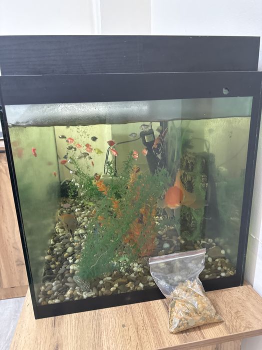 Продам аквариум с рыбками