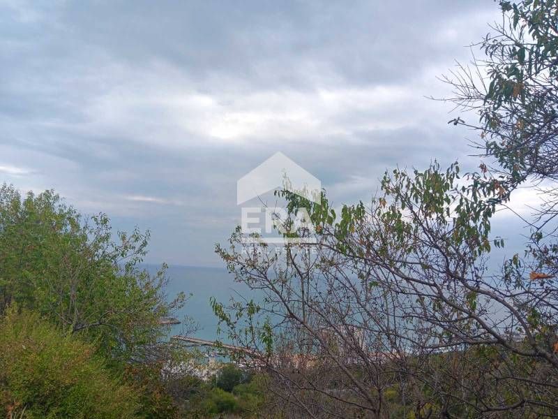 Продава се Парцел в с. Осеново, Област Варна - 1049 кв.м за 27 €/кв.м - Снимка #1