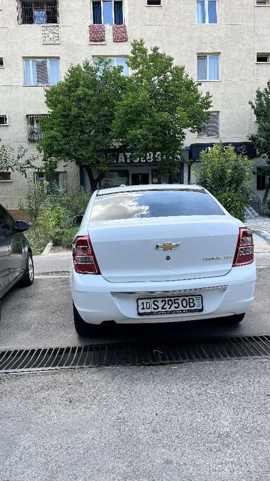 Cobalt 2026 bez kraski tozza