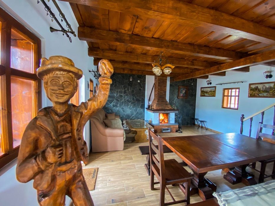 Vand casa de vacanta