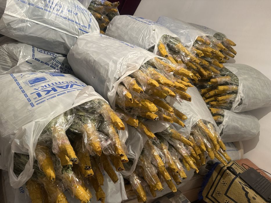 Веники береза и дуб