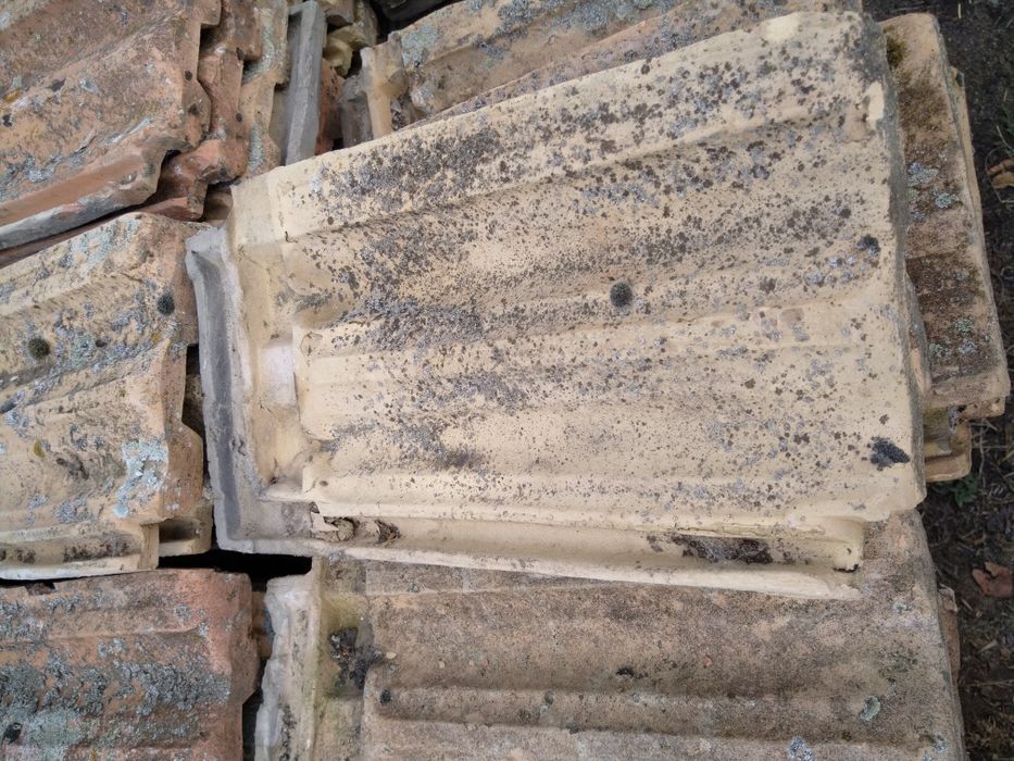 Цигли двуканални  0.35 Ст.