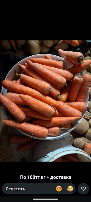 Продам Марков по 100тг кг