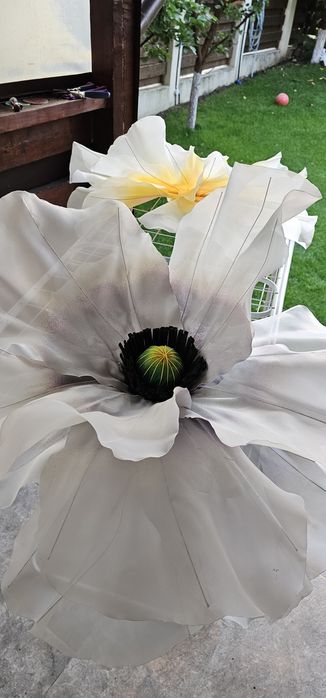 Flori gigant partea din vârf