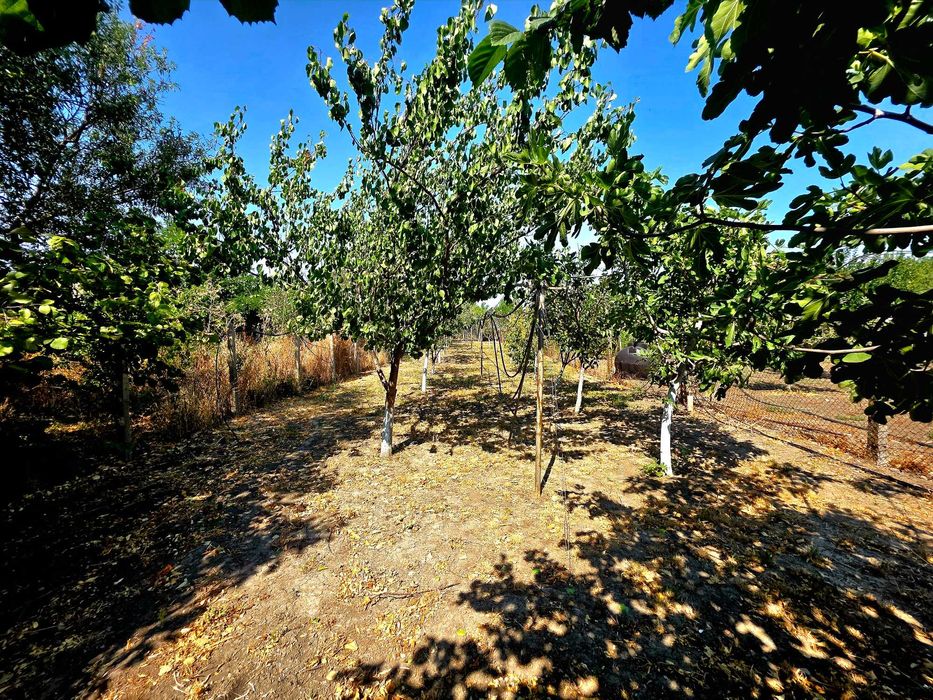 Продава се Къща в с. Каменар, Област Бургас - 165 кв.м за 1879 €/кв.м - Снимка #5